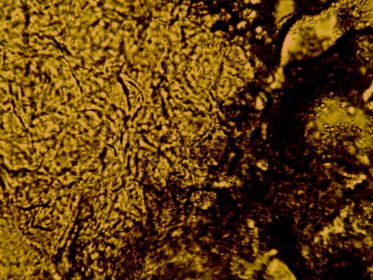 Powdered Seed Sudan III